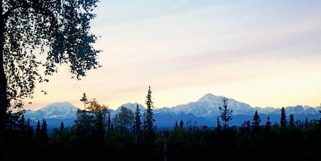 Grace And Bill'S Freedom Hills B&B Talkeetna Zewnętrze zdjęcie
