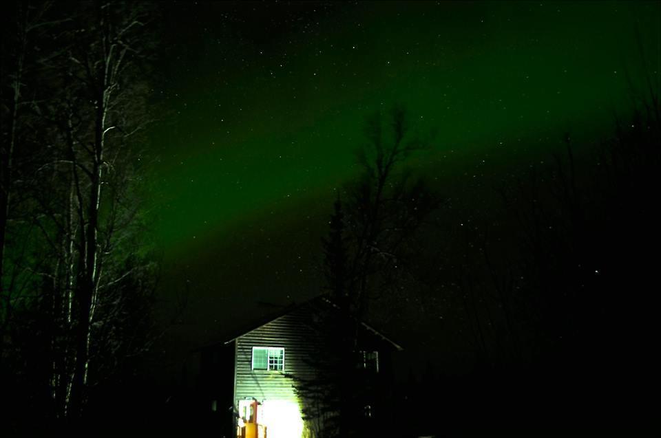 Grace And Bill'S Freedom Hills B&B Talkeetna Zewnętrze zdjęcie
