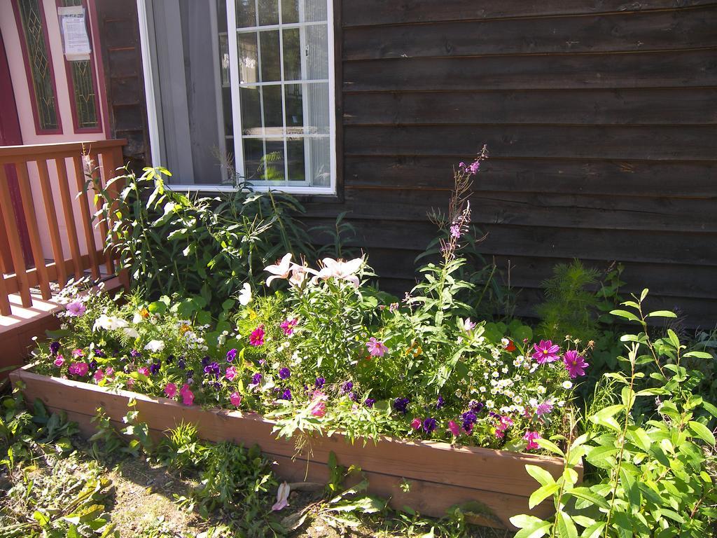 Grace And Bill'S Freedom Hills B&B Talkeetna Zewnętrze zdjęcie