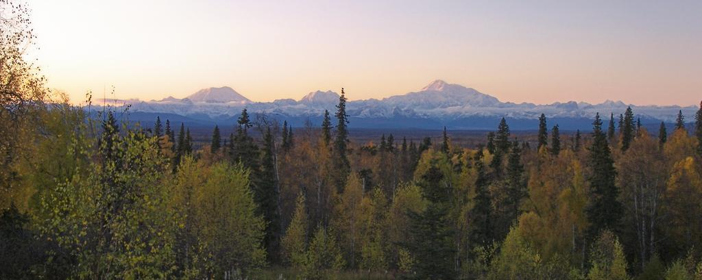 Grace And Bill'S Freedom Hills B&B Talkeetna Zewnętrze zdjęcie